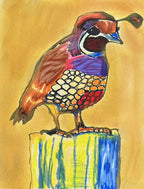 Quail Bird - ORIGINAL OIL PASTEL ARTWORK - 11x14"