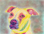 Yellow Pitbull - ORIGINAL OIL PASTEL ARTWORK - 11x14"