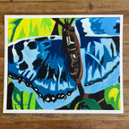 Butterfly on the Leaf  - ORIGINAL 14x17” - Vichy's Art