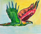 Hawk - ORIGINAL  OIL PASTEL ARTWORK - 14x17""